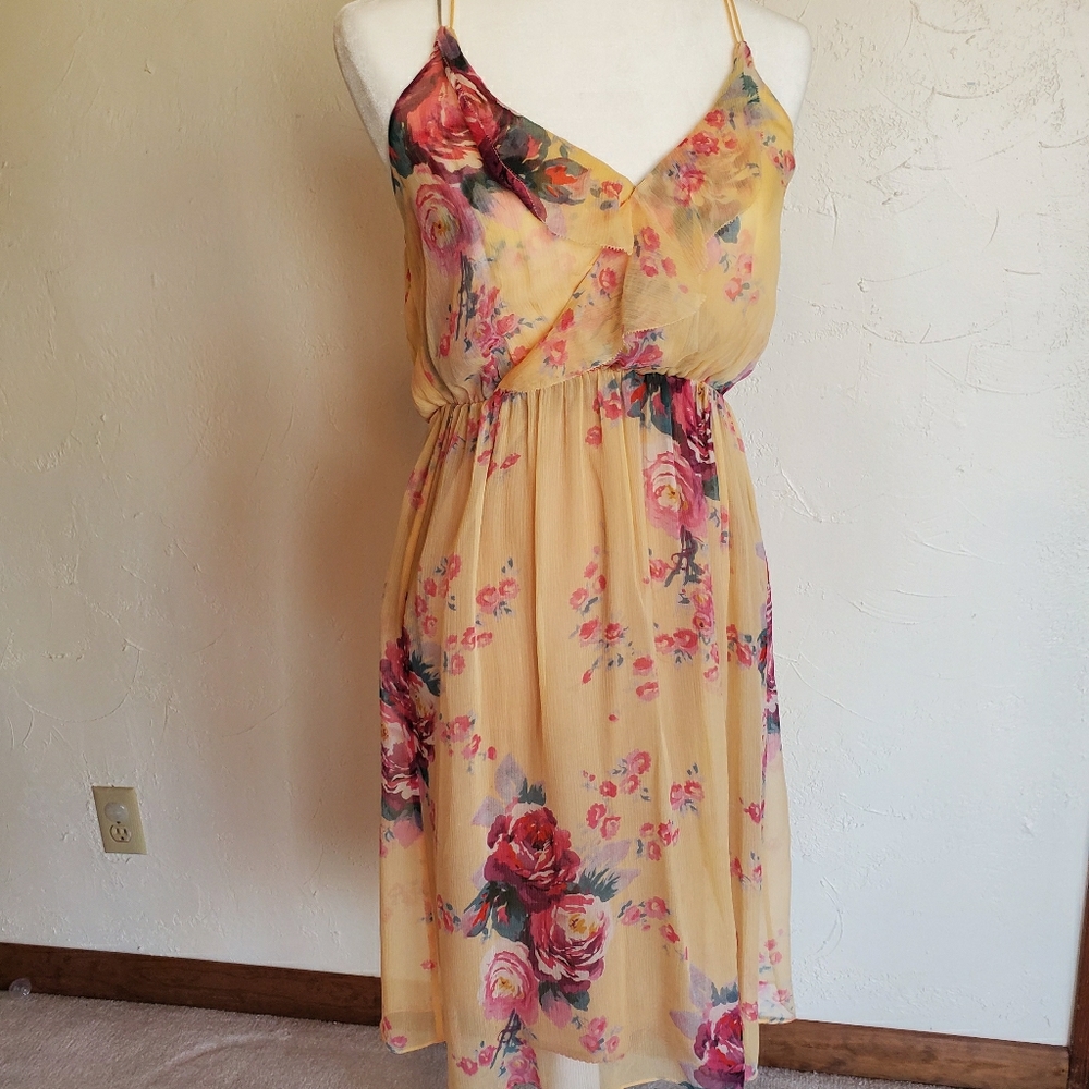Chiffon flower print sun dress